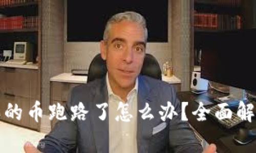 tpwallet购买的币跑路了怎么办？全面解析与解决方案