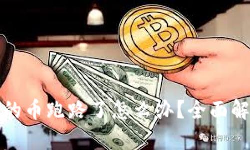 tpwallet购买的币跑路了怎么办？全面解析与解决方案