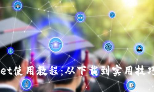 电脑版TPWallet使用教程：从下载到实用技巧的全方位指南