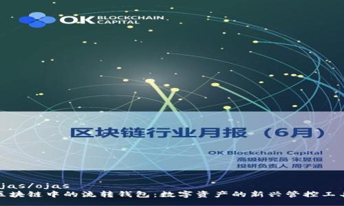ojas/ojas
区块链中的流转钱包：数字资产的新兴管控工具