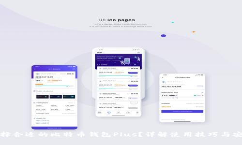 如何选择合适的比特币钱包Plus？详解使用技巧与安全策略