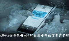 TPWallet：全方位解析BSC生态