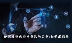 如何查询比特币钱包的公