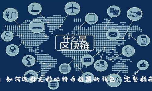: 如何选择支持比特币糖果的钱包: 完整指南