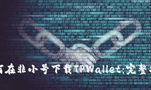 如何在非小号下载TPWallet：完整指南