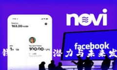 以太坊钱包APP的潜力与未来发展趋势