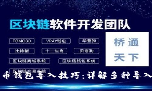 比特币钱包导入技巧：详解多种导入方式