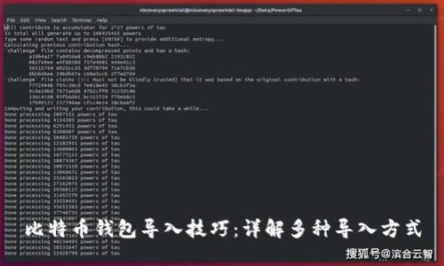比特币钱包导入技巧：详解多种导入方式