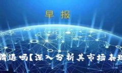 TPWallet会清退吗？深入分析