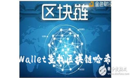 如何使用TPWallet查找区块链哈希值：详细指南
